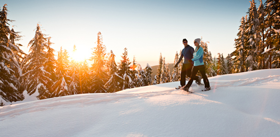 Snowshoe Tour