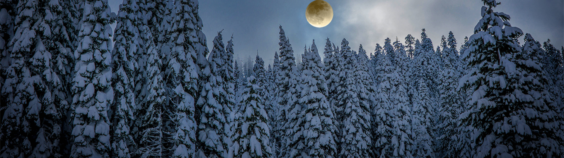 Full Moon Snowshoe Tours