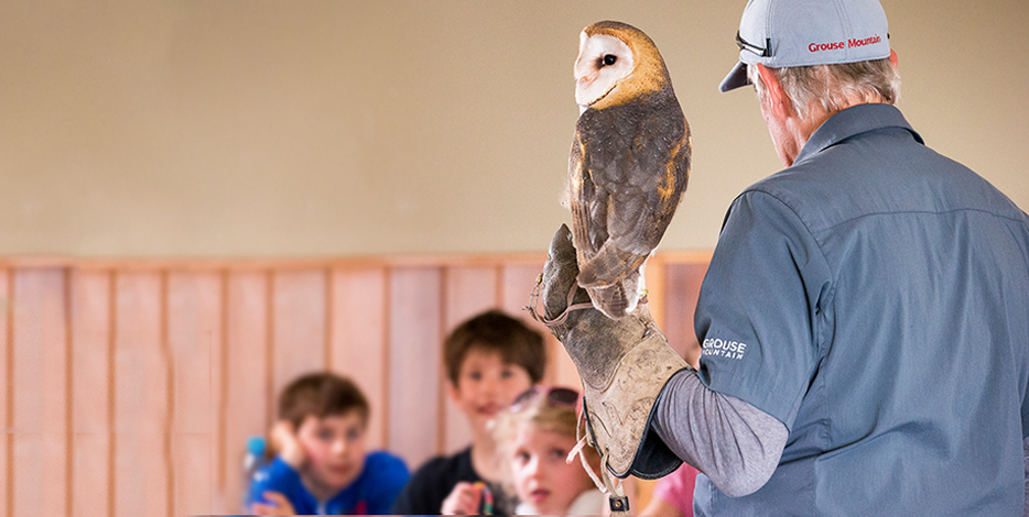 education programs at Grouse Mountain